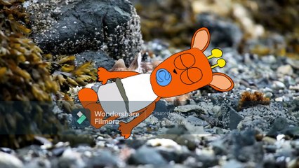 New Born Beethoven (2022)