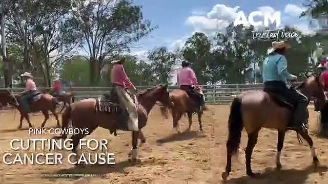 Cowboys dress in pink for Breast Cancer awareness, October 18, 2022, Beaudesert Times