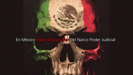 Notaria 4 de Puebla Corrupta, Norma Romero Cortés, Evidencia de la Falsificación del Poder Notarial