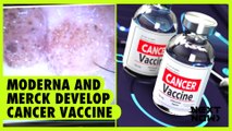 Moderna and Merck develop cancer vaccine | Next Now