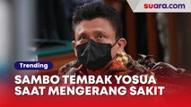Video JPU Ungkap Ferdy Sambo Tembak Kepala Brigadir J Saat Mengerang Kesakitan Viral, Netizen: Layak Dihukum Mati