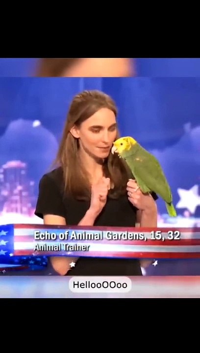 talented parrot |entertainment|fun club|fun videos|comedy videos|