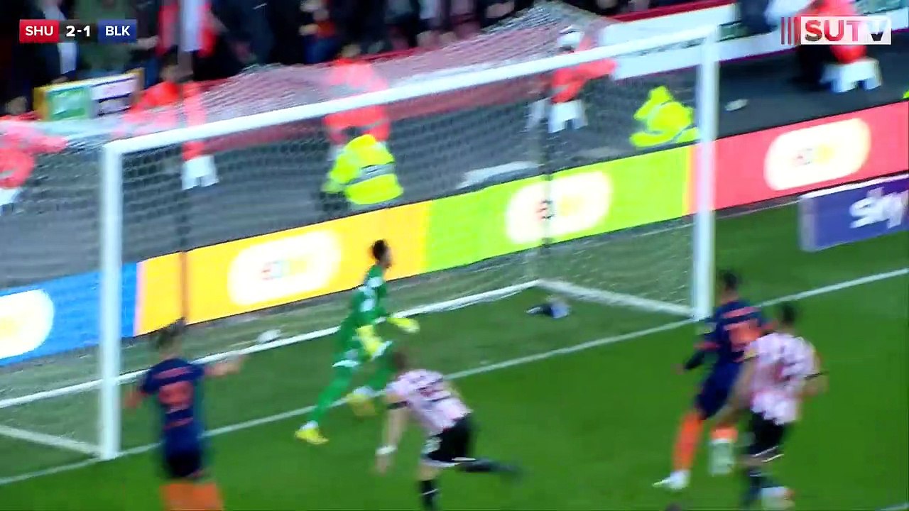 6 Goals & 4 red cards!  Sheffield United 3-3 Blackpool _ EFL Championship highlights