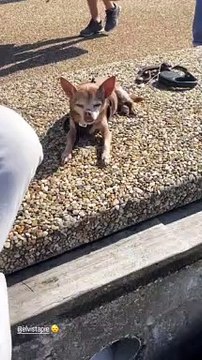 Sophie Tapie et Baptiste Germain en week-end amoureux