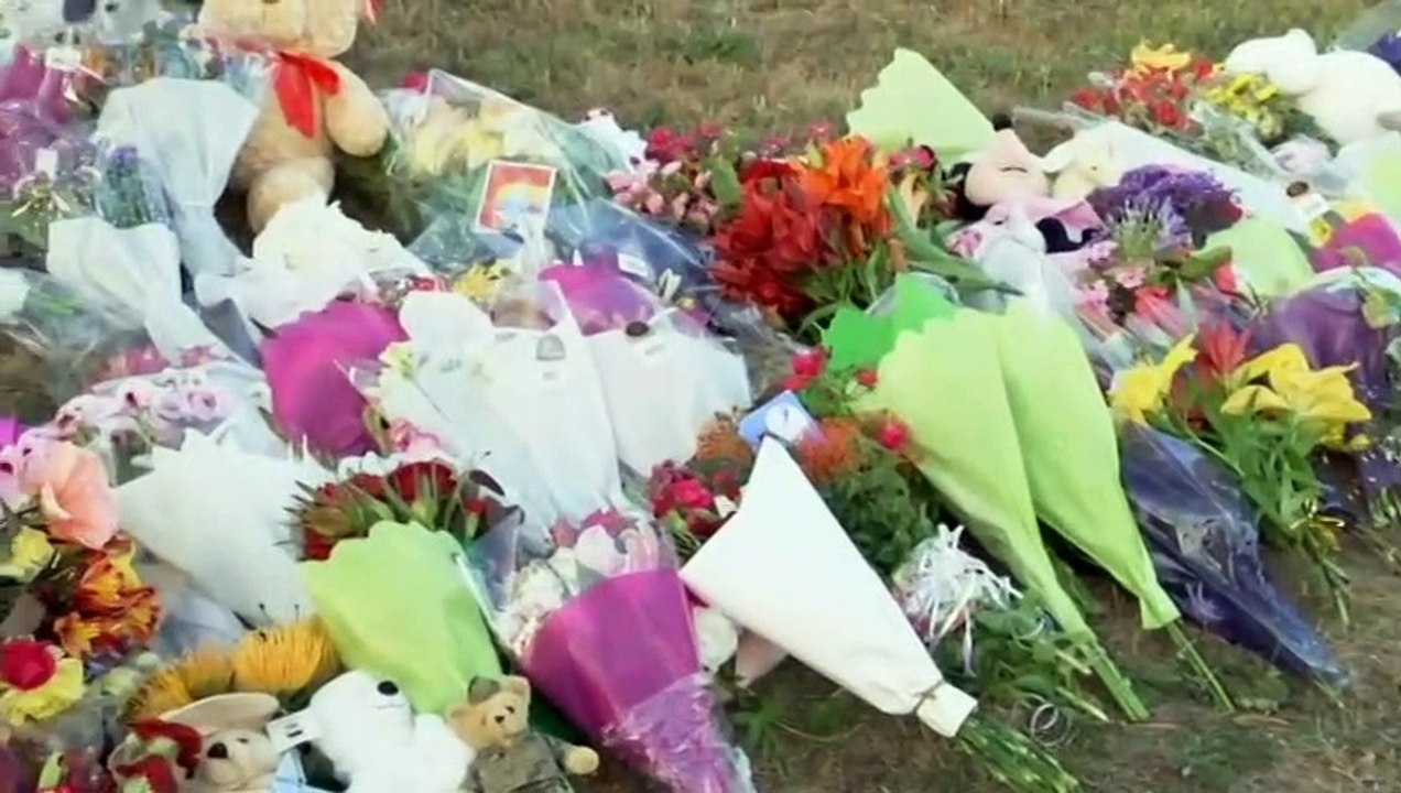 Update on Tasmania jumping castle tragedy heard in Devonport