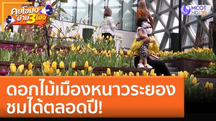 ดอกไม้เมืองหนาวระยอง ชมได้ตลอดปี! (14 ต.ค. 65) คุยโขมงบ่าย 3 โมง