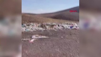 KARLIOVA'DA KÖPEKLER BAĞLANIP ÇÖPLÜĞE BIRAKILDI; İNCELEME BAŞLATILDI