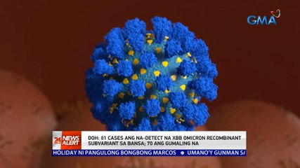 DOH: 81 cases ang na-detect na XBB Omicron recombinant subvariant sa bansa | 24 Oras News Alert