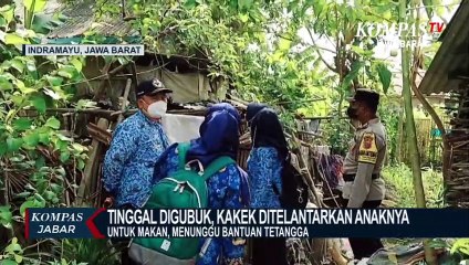 Kakek Hidup Digubuk, Untuk Makan Tunggu Bantuan Tetangga