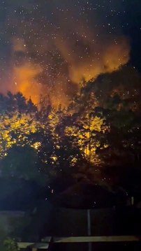 Garden sheds and fences alight in Dover