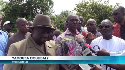 Le ministre de l'Agriculture visite les plantations de coton à Korhogo