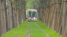 Kaohsiung Extends Circular Light Rail Through Tree-Lined Avenue - TaiwanPlus News