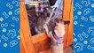 Animais engraçados 2022 - Cães e gatos fofos fazendo coisas engraçadas #5 - nunny animais