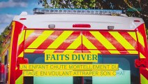 Un enfant de 3 ans chute mortellement du 10e étage en voulant attraper son chat