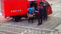 Cops ‘Arrest’ 4 Birds Blocking Traffic in Southern Taiwan - TaiwanPlus News