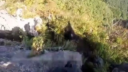 Burun buruna geldiği ayıyı tekme tokat dövdü