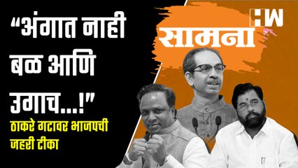 “अंगात नाही बळ आणि उगाच...!” ठाकरे गटावर भाजपची जहरी टीका |