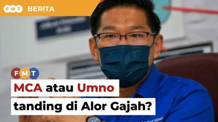 Biar BN tentukan MCA atau Umno tanding di Alor Gajah