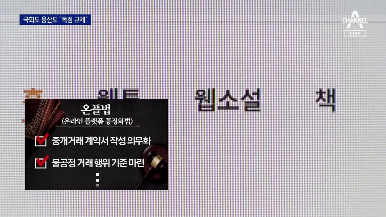 카카오 갑질 방지법도 추진…“플랫폼 독점 막아야”