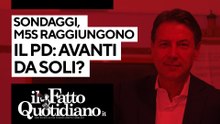 Sondaggi, i 5 stelle raggiungono il Pd: avanti da soli? Segui la diretta con Peter Gomez