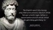 Kata-Kata Bijak Marcus Aurelius Yang Akan Mengubah Cara Berpikir Anda  Motivasi Kehidupan
