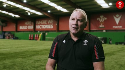 Wales squad announcement