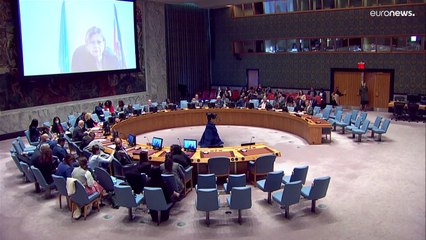 UN split over sending an international force to crisis-hit Haiti