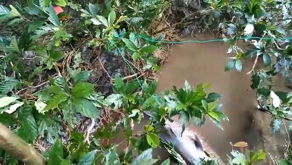 IT's Migration Time....!! Time to catch BIG FISH