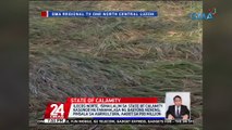 Ilocos Norte, isinailalim sa state of calamity kasunod ng pananalasa ng Bagyong Neneng; pinsala sa agrikultura, aabot sa P80-M | 24 Oras