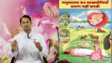 कोन सा जीव बनेंगे आप अगले जनम में | 84 Yonio ka Such  | Humans Birth And Death
