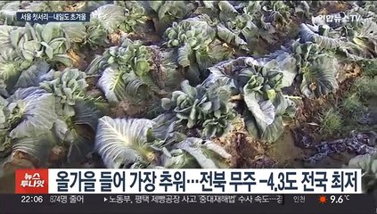 초겨울 성큼 전북 무주 -4.3도…서울에도 첫 서리