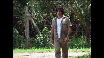 Luz do Sol - Capítulo 181