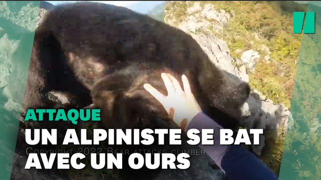 Les images impressionnantes d’un alpiniste attaqué par un ours au Japon