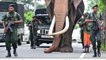 Punishment for killing an elephant in Sri Lanka | #elephant#shorts