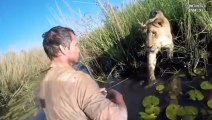 animals unbelievable moments caught on camera part-2   viral video   viral   SOMETHING FOR KNOWLEDGE