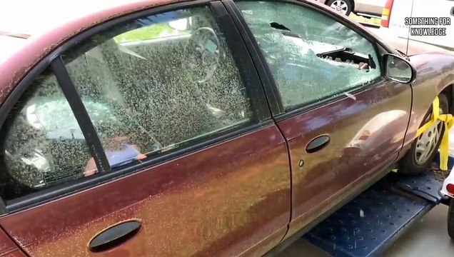 इस मेंढक के ऊपर गर्म लावा डाल दे तो क्या होगा Top 5 amazing experiments on YouTube #experiments