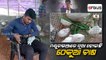 Rabbit Farming begins in Mayurbhanj