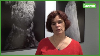 U autre regrad sur les oiseaux du musée par Nathalie Amand
