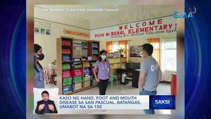 Kaso ng hand, foot and mouth disease sa San Pascual, Batangas, umabot na sa 150 | Saksi