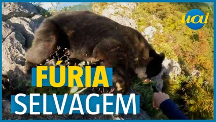 Alpinista luta com urso durante escalada