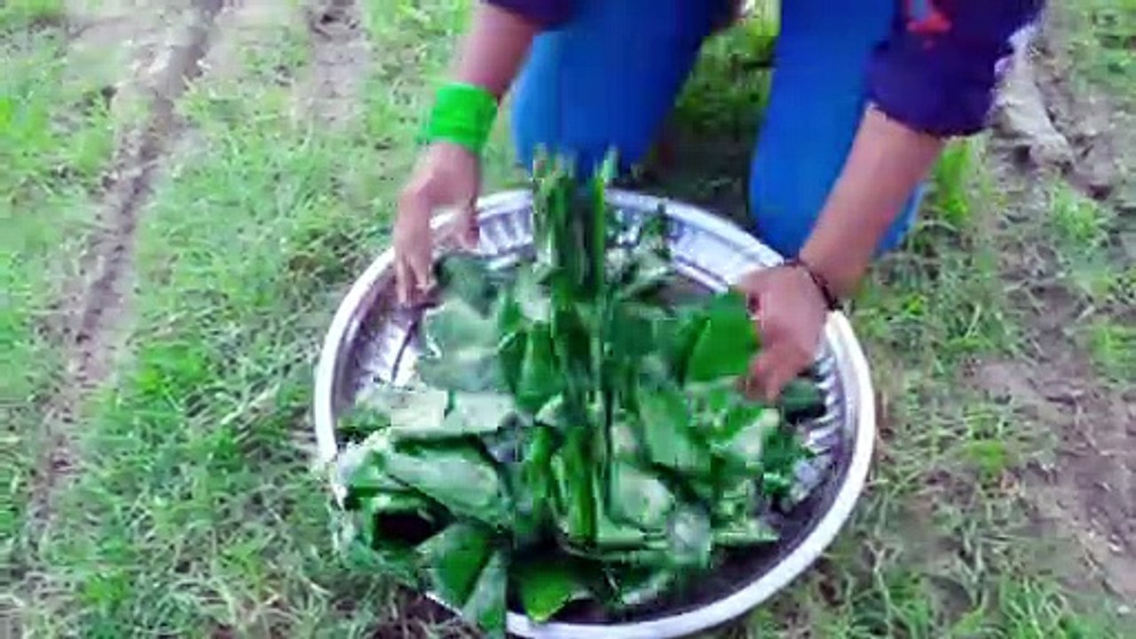 TUI TUI  BEST FUNNY VIDEO || NOT TO LAUGH CHALLENGE FUNNY VIDEO || EXPRESSION FUNNY VIDEO || COMEDY VIDEO || FUNNY