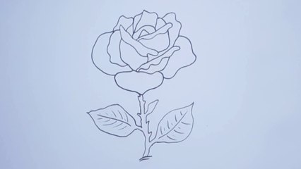 كيفية رسم وردة بطريقة سهلة - Vidéo Dailymotion