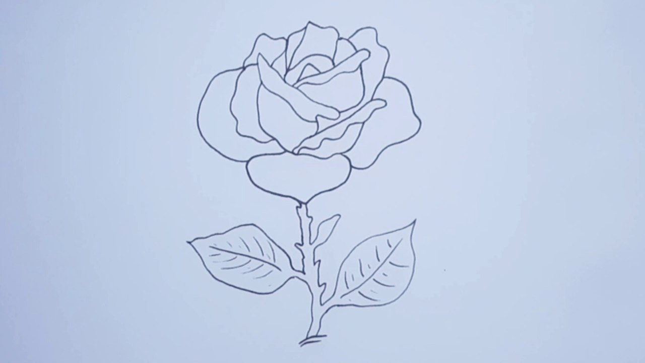 كيفية رسم وردة بطريقة سهلة