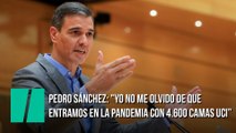 Pedro Sánchez: 