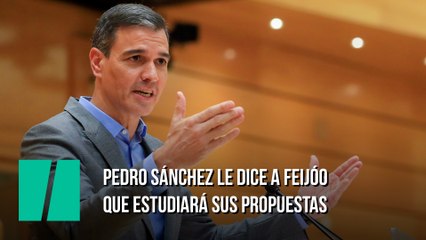 Pedro Sánchez le dice a Feijóo que estudiará sus propuestas
