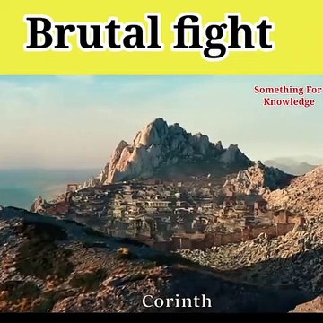 Lion vs tiger tiger vs lion animals fight video #animals #shorts #fight