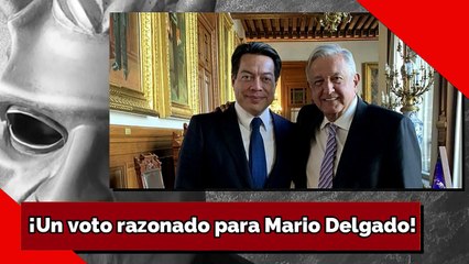 ¡Un voto razonado para Mario Delgado!