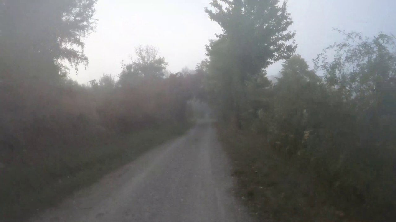 Wien am Rad: Marchfeldkanal im Morgennebel (1)