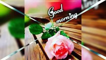 Good morning video ☕☕ Good morning status ️️️good morning wishes for friends️️️