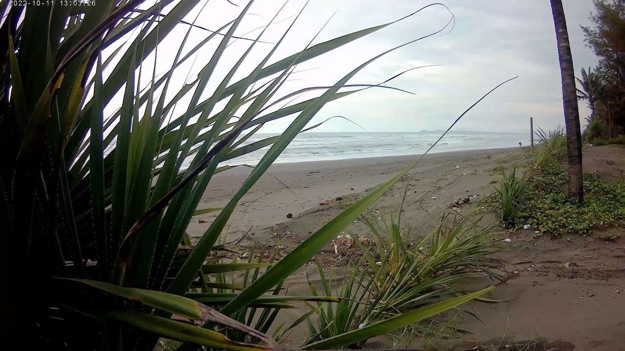 Pemandangan pantai